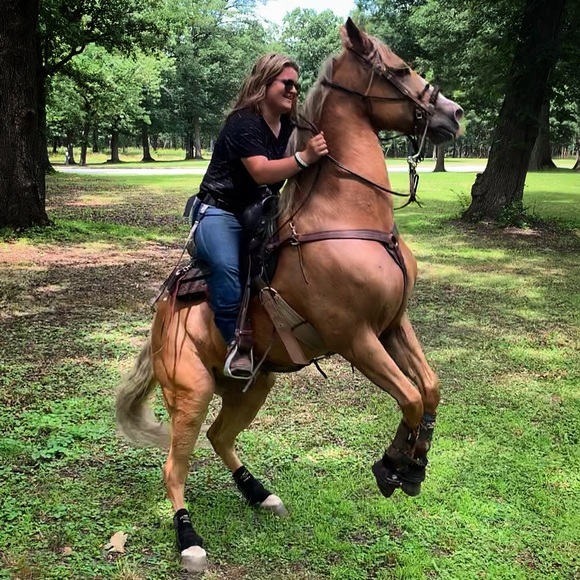 Meet your Posher, Jess - Picture 1 of 1